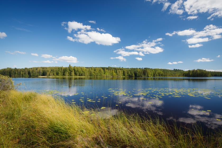 Suomalainen järvimaisema