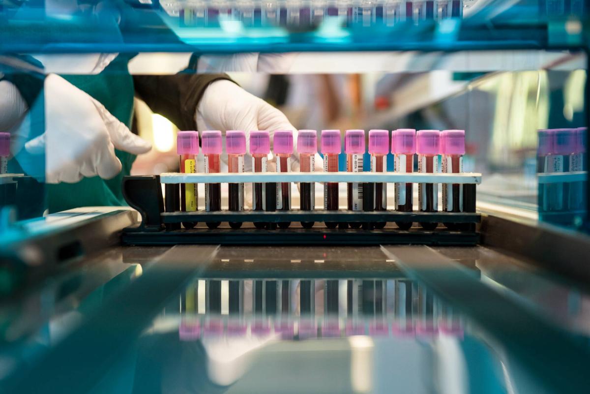 Automaatiolaboratoriossa näyteputkia 