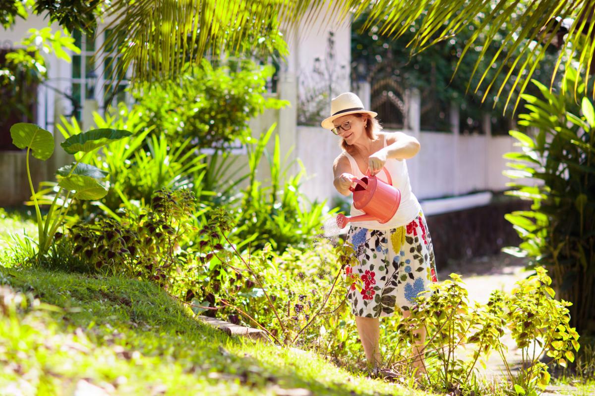 Naisoletettu kastelee pensaita kesäisessä puutarhassa.