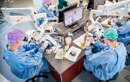 Tutkijat harjoittelemassa Tauno Palva -temporaaliluulaboratoriossa.