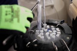 Siittiöitä, munasoluja ja alkioita Lisääntymislääketiteen yksikön tankeissa säilytyksessä.