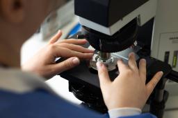 Laboratoriohoitaja tutkii näytettä mikroskoopilla