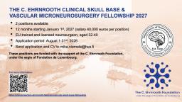 Applying for C. Ernrooth clininical scull  base and vascular neurosurgery fellowship 2027 in August 2026.